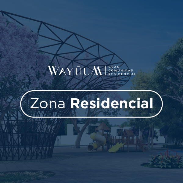 cARRUSEL WAYUUM_Mesa de trabajo 1